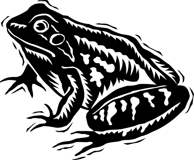 f:id:hibi333zakkan:20180726144401p:plain f:id:hibi333zakkan:20180726144401p:plain