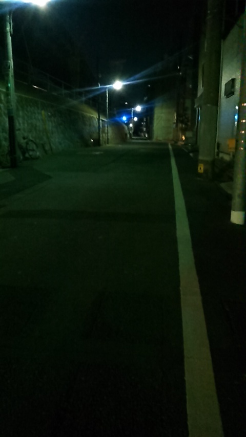 f:id:hibi333zakkan:20190123005103j:plain f:id:hibi333zakkan:20190123005103j:plain