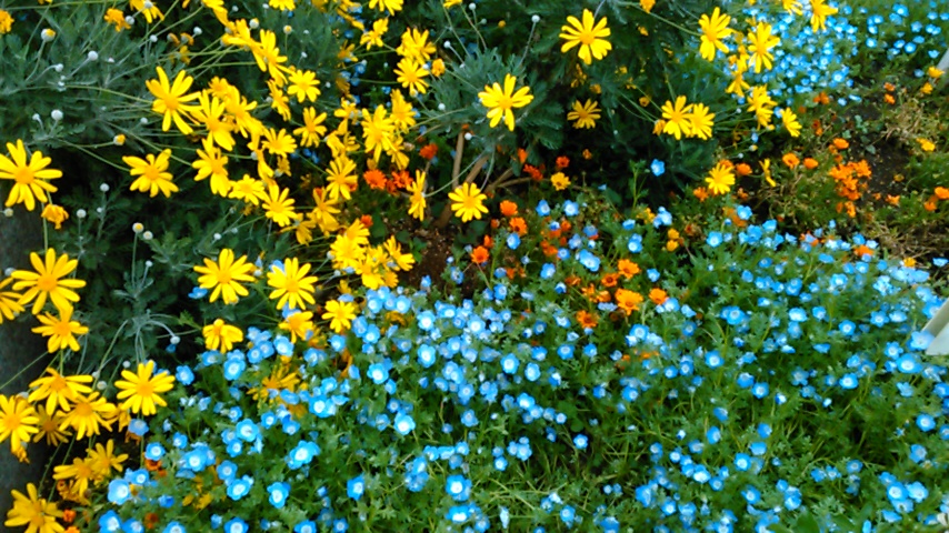 f:id:hibi333zakkan:20190509174334j:plain f:id:hibi333zakkan:20190509174334j:plain