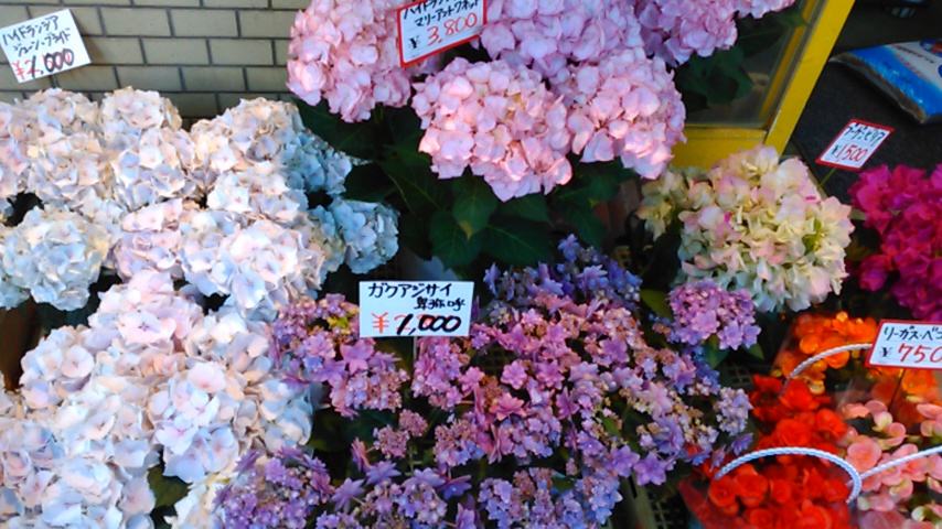 f:id:hibi333zakkan:20190525023409j:plain f:id:hibi333zakkan:20190525023409j:plain
