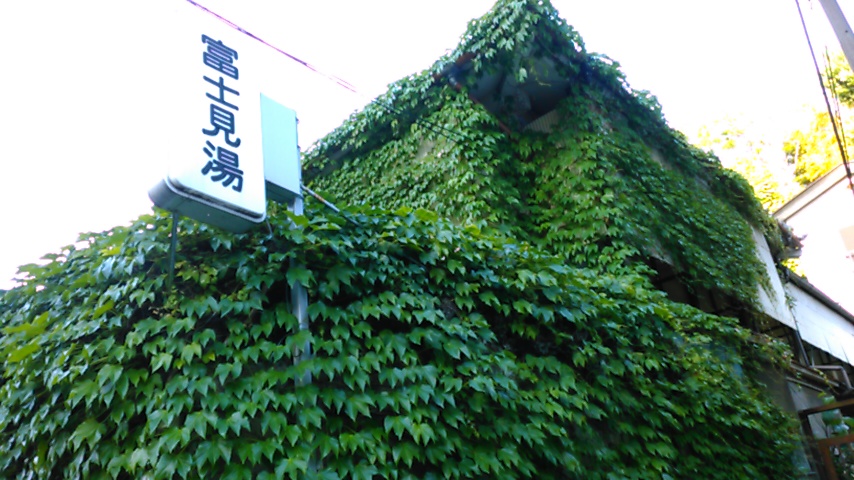 f:id:hibi333zakkan:20190525023736j:plain f:id:hibi333zakkan:20190525023736j:plain