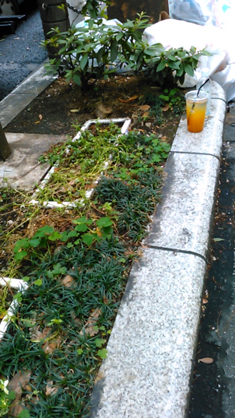 f:id:hibi333zakkan:20190530034901j:plain f:id:hibi333zakkan:20190530034901j:plain