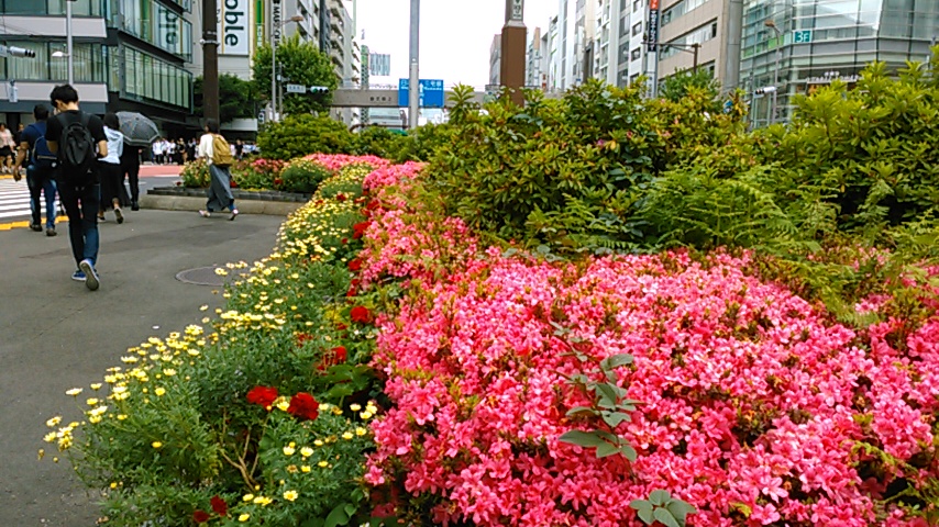 f:id:hibi333zakkan:20190530034957j:plain f:id:hibi333zakkan:20190530034957j:plain