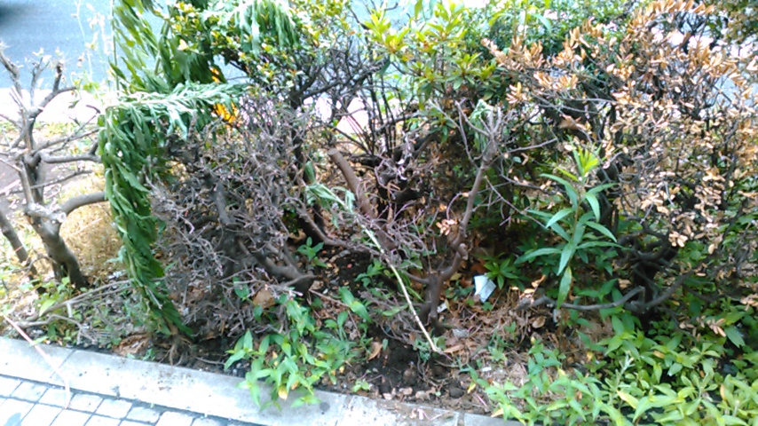 f:id:hibi333zakkan:20190530035046j:plain f:id:hibi333zakkan:20190530035046j:plain