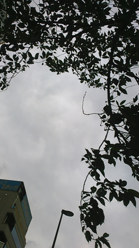 f:id:hibi333zakkan:20190601131609j:plain f:id:hibi333zakkan:20190601131609j:plain