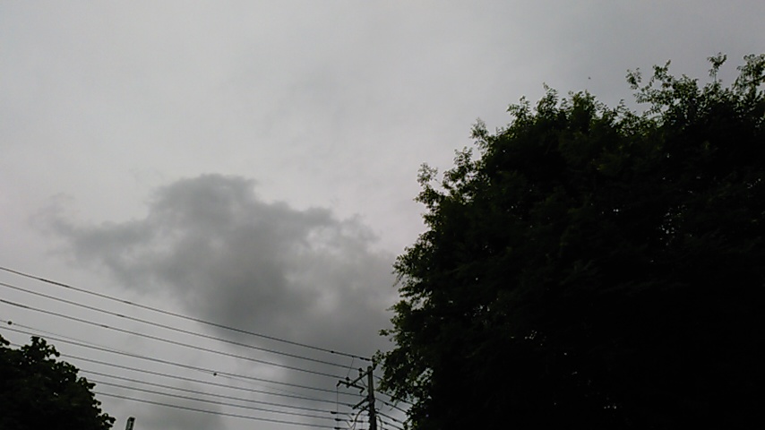 f:id:hibi333zakkan:20190601131645j:plain f:id:hibi333zakkan:20190601131645j:plain