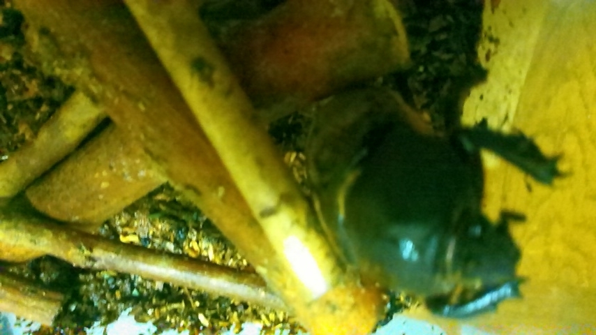 f:id:hibi333zakkan:20190918121247j:plain f:id:hibi333zakkan:20190918121247j:plain