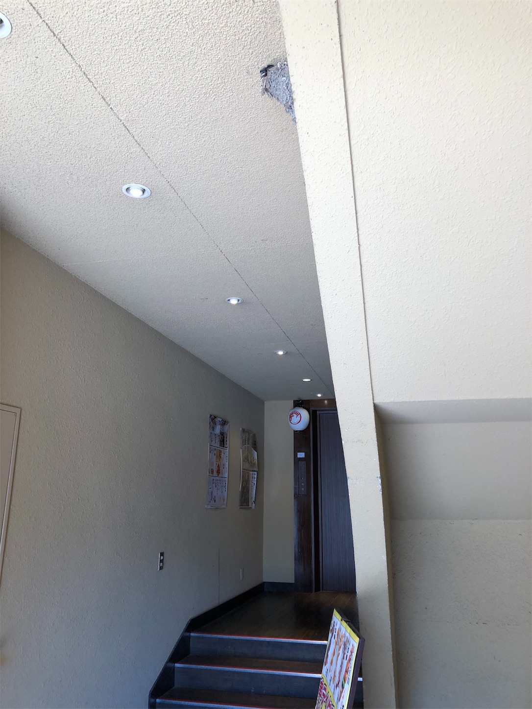 f:id:hibiblo:20190725144549j:image