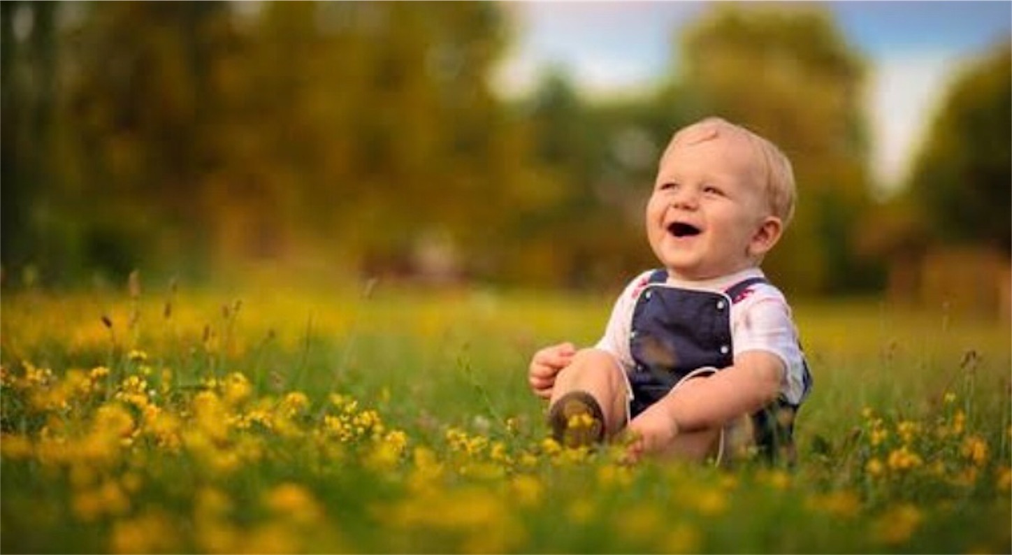 f:id:hibiblo:20190725181315j:image f:id:hibiblo:20190725181315j:image