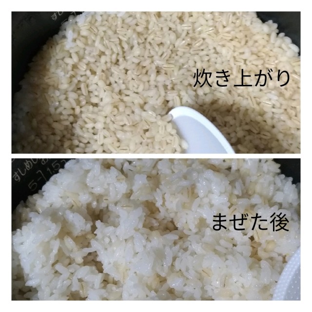 f:id:hibinan:20190418224705j:image f:id:hibinan:20190418224705j:image