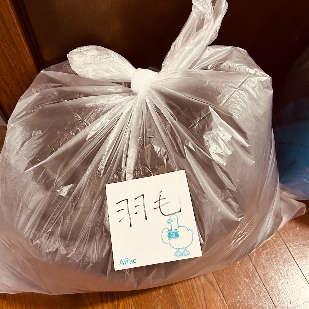 f:id:hibinan:20241009222608j:image