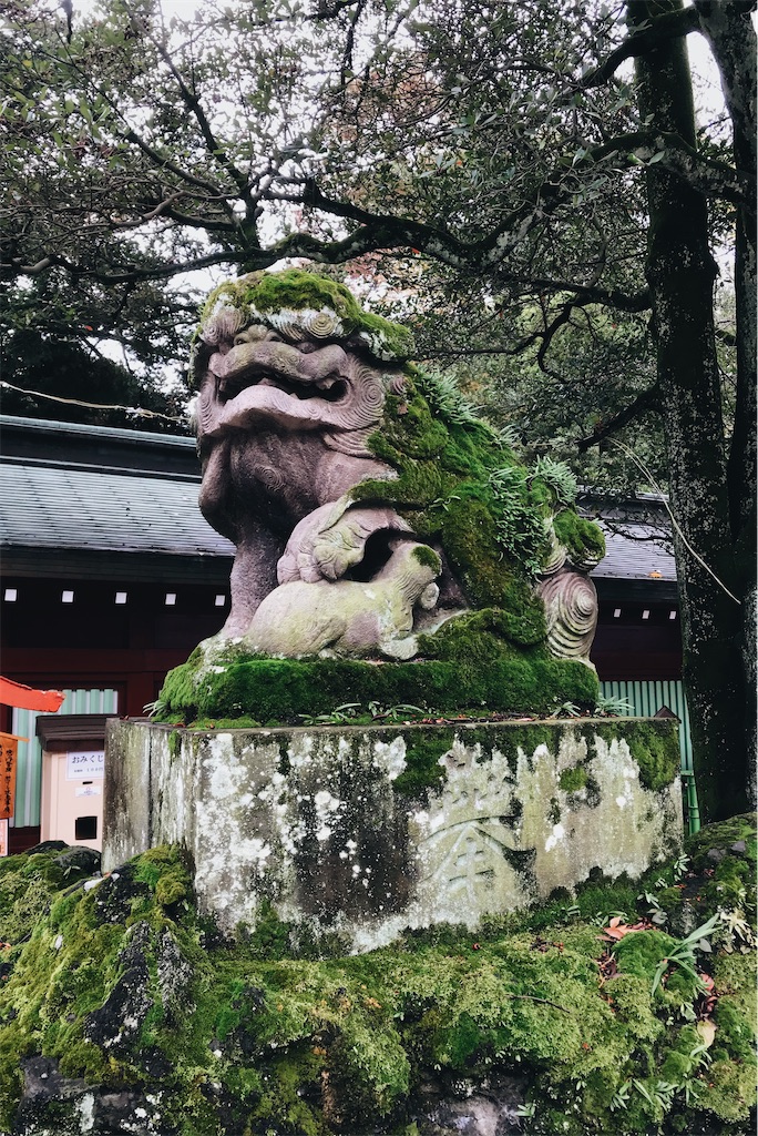 f:id:hibino-note:20211123140427j:image