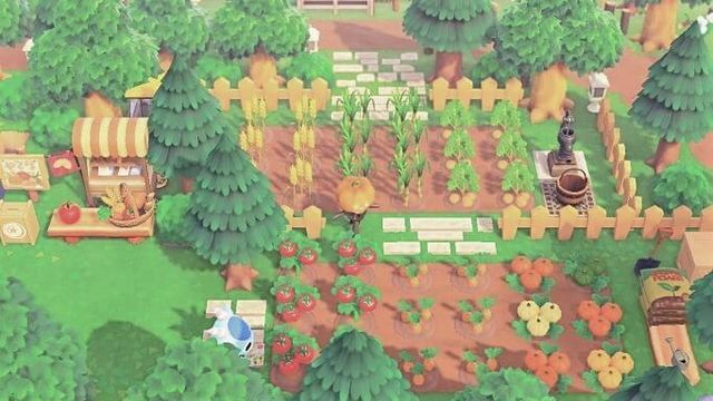あつ森_畑