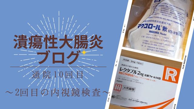 2回目の内視鏡検査を受けてきました～通院10回目～【潰瘍性大腸炎ブログ】