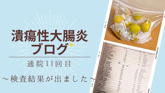 詳細な検査の結果が出ました～通院11回目～【潰瘍性大腸炎ブログ】