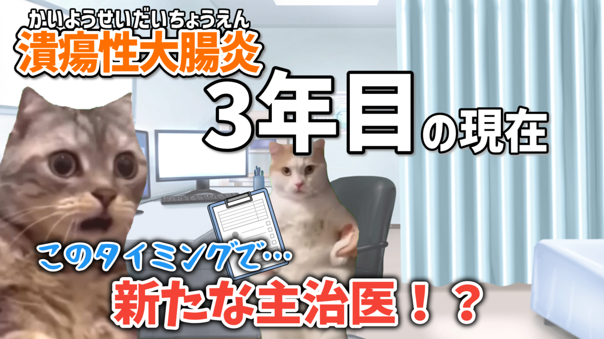 潰瘍性大腸炎3年目