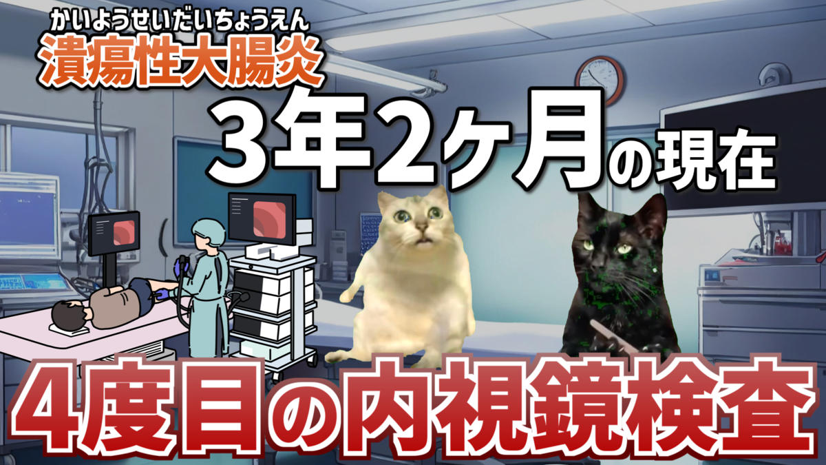 潰瘍性大腸炎_内視鏡検査