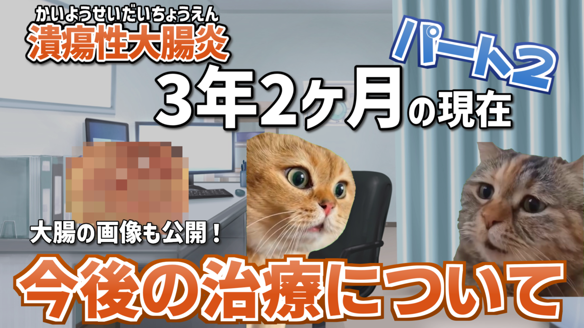 潰瘍性大腸炎3年2ヶ月パート2