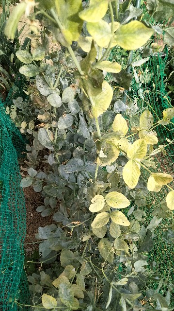 f:id:hibinouturoi:20250522183701j:image f:id:hibinouturoi:20250522183701j:image