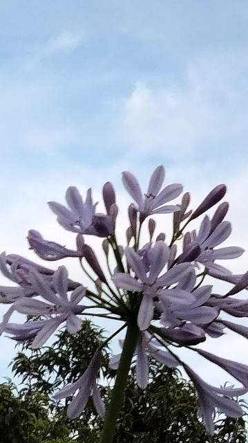 f:id:hibinouturoi:20250627214621j:image f:id:hibinouturoi:20250627214621j:image