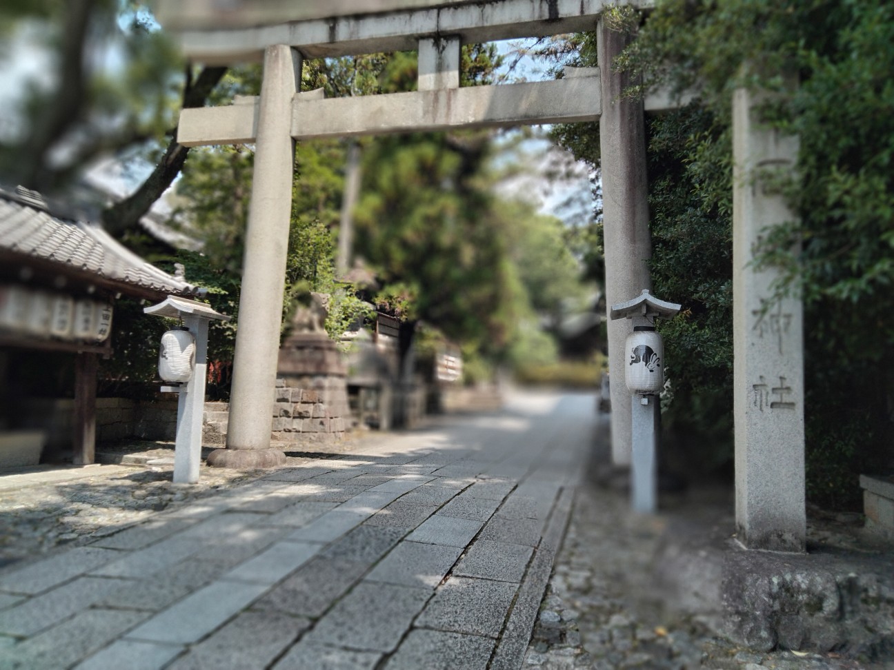 f:id:hibinouturoi:20260721144708j:image