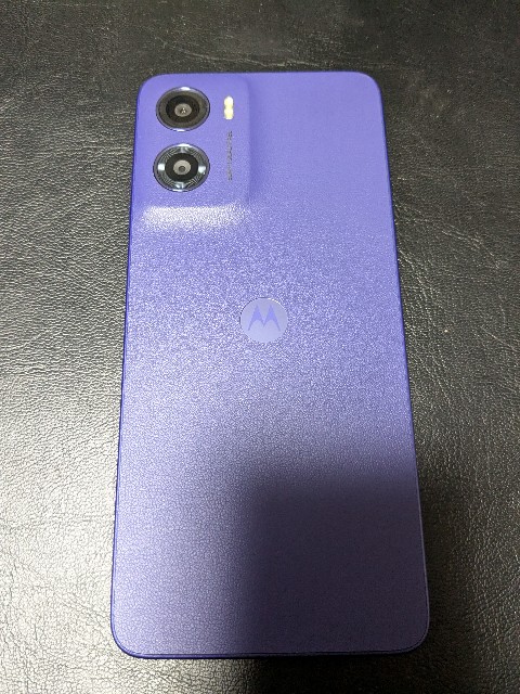 f:id:hibiscusBIG:20250331182837j:image