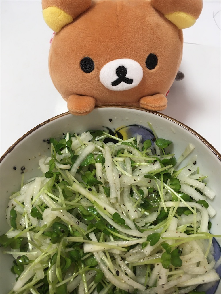 f:id:hibishinka:20210116193737j:image