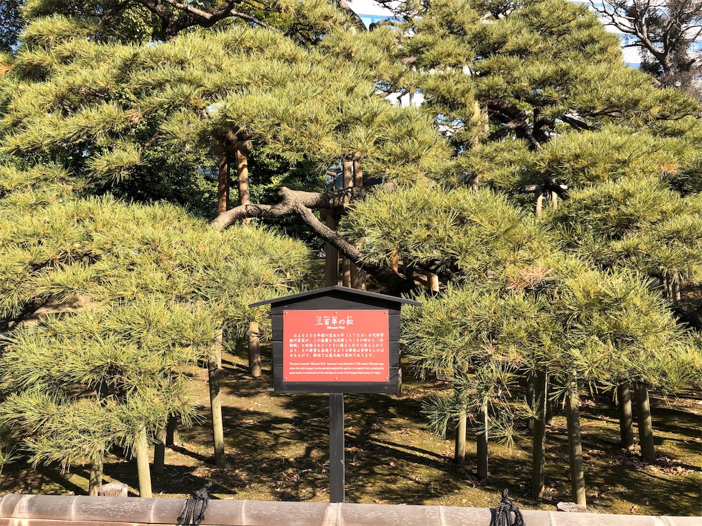 f:id:hibishoujin:20190113134921j:image