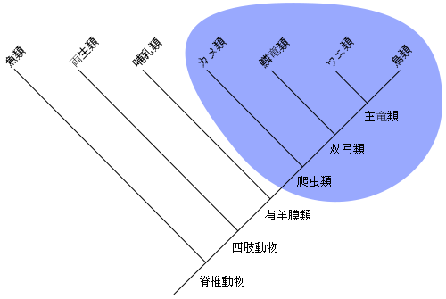 f:id:hibit_at:20180911200937p:plain f:id:hibit_at:20180911200937p:plain