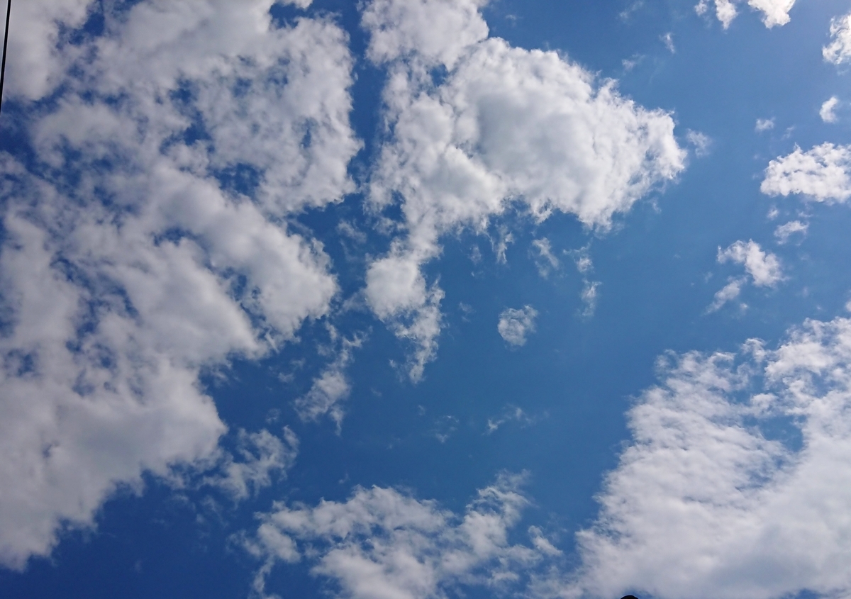 f:id:hibitanoshime:20200529135041j:plain