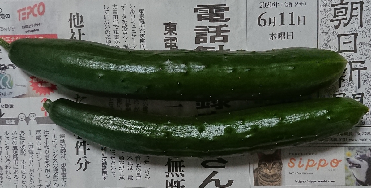 f:id:hibitanoshime:20200611142929j:plain