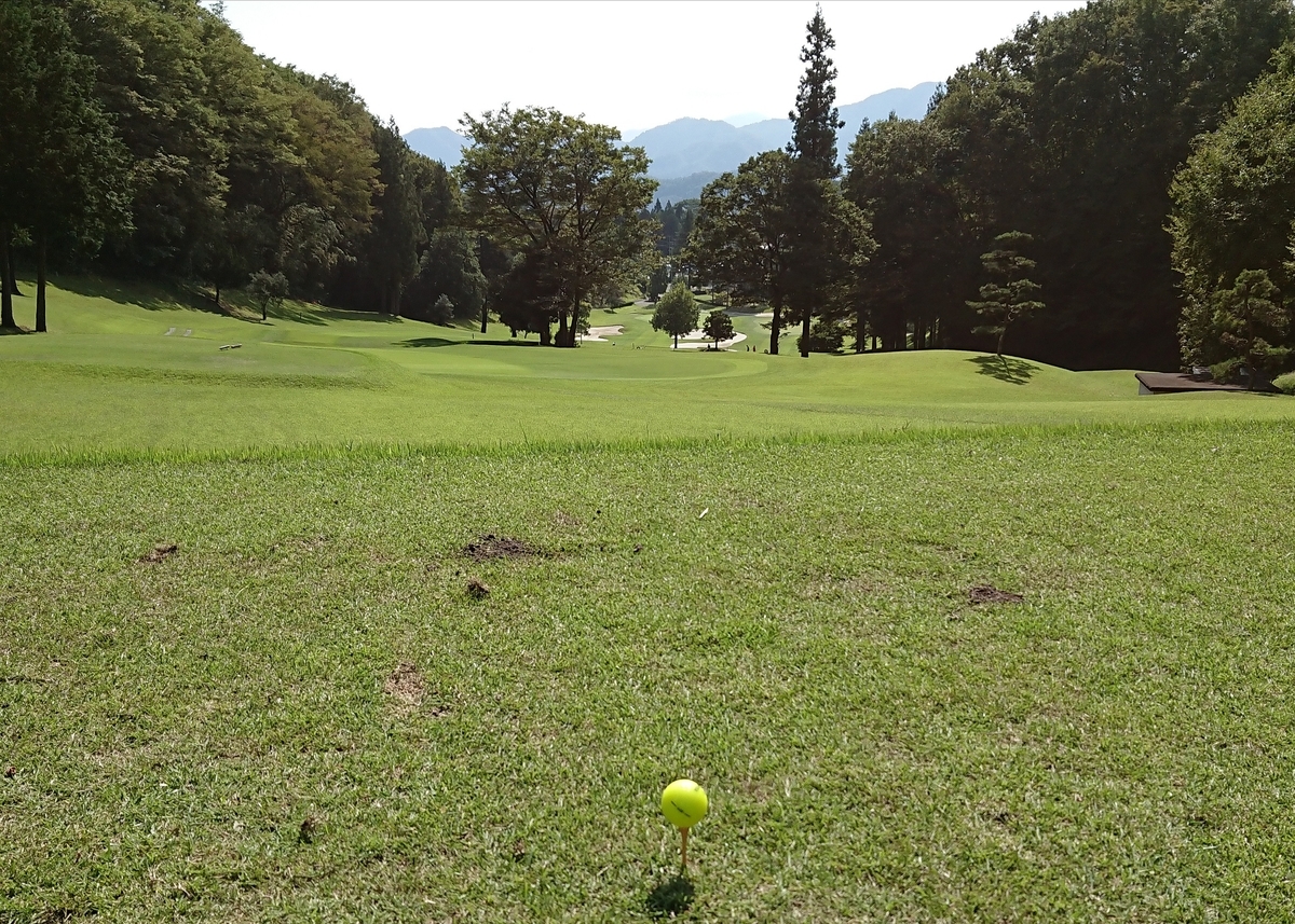 f:id:hibitanoshime:20201002170548j:plain