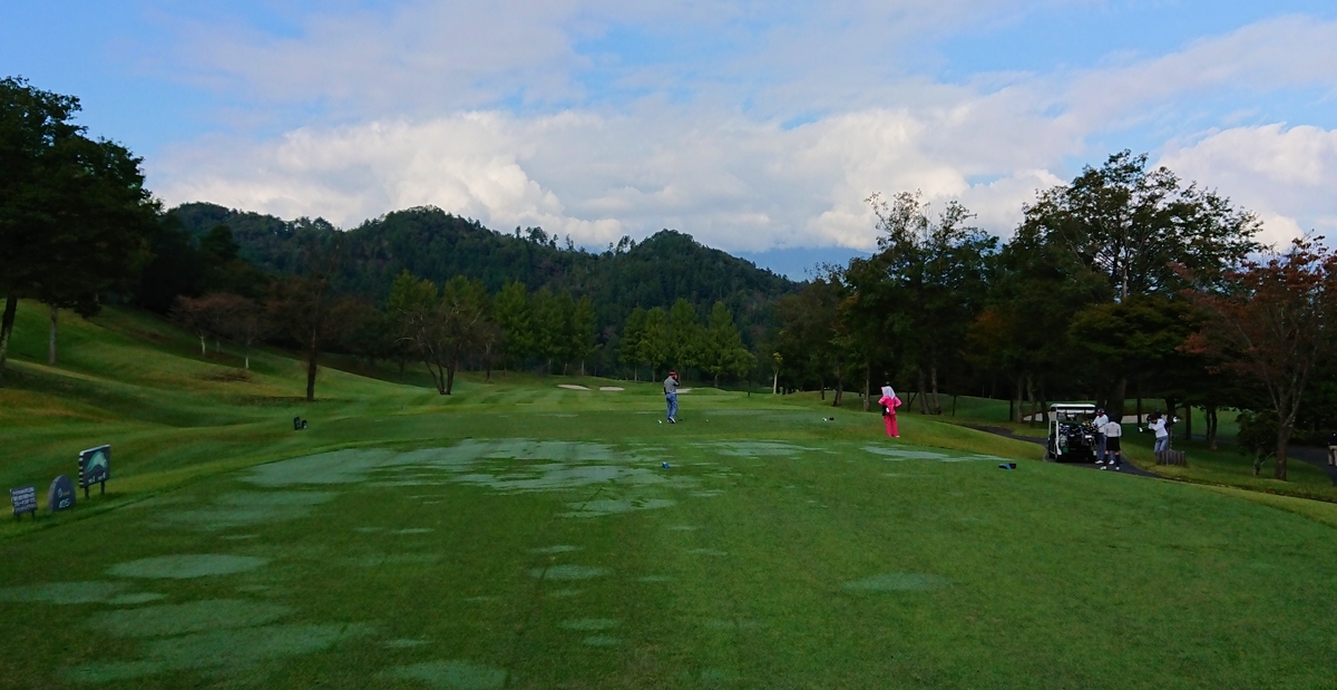 f:id:hibitanoshime:20201013183217j:plain f:id:hibitanoshime:20201013183217j:plain