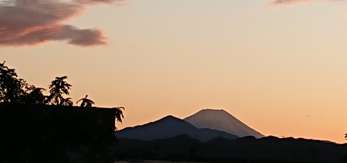 f:id:hibitanoshime:20201018204757j:plain