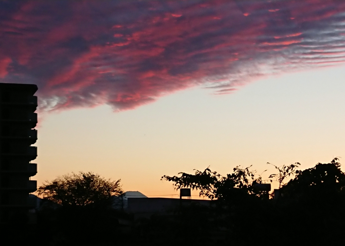 f:id:hibitanoshime:20201018205140j:plain