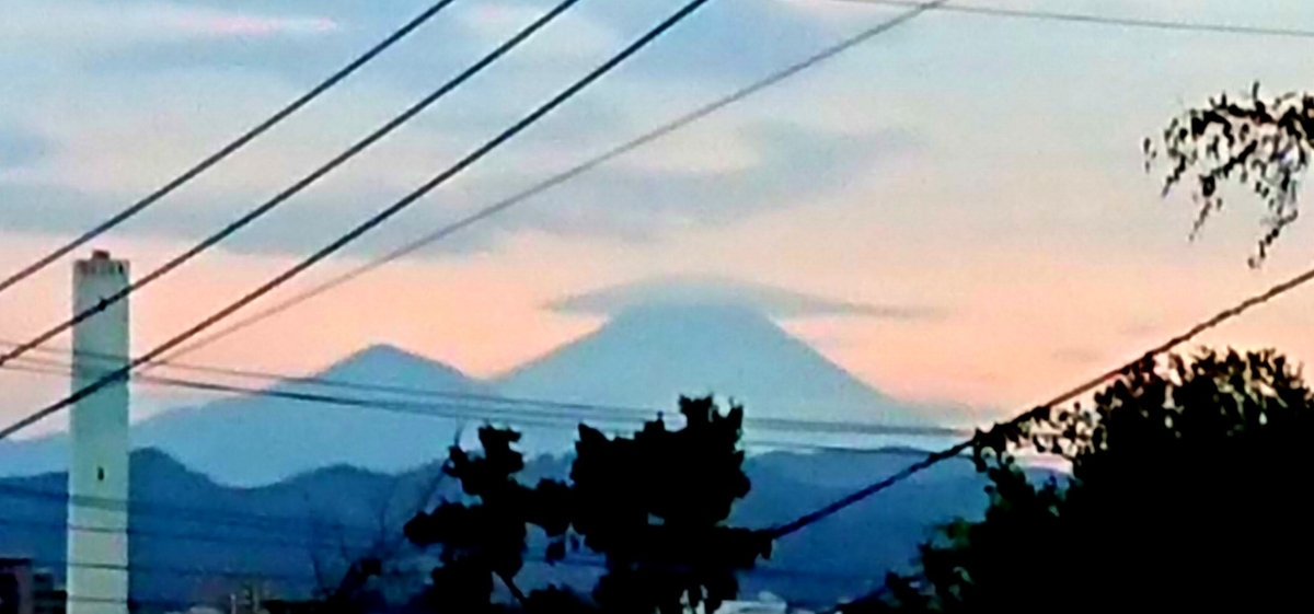 f:id:hibitanoshime:20201019101448j:plain