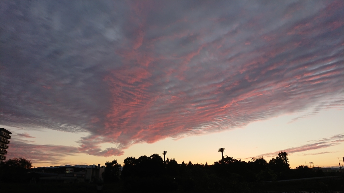 f:id:hibitanoshime:20201019101918j:plain