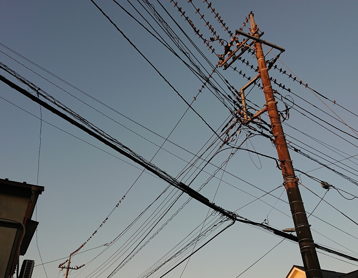 f:id:hibitanoshime:20201025185553j:plain