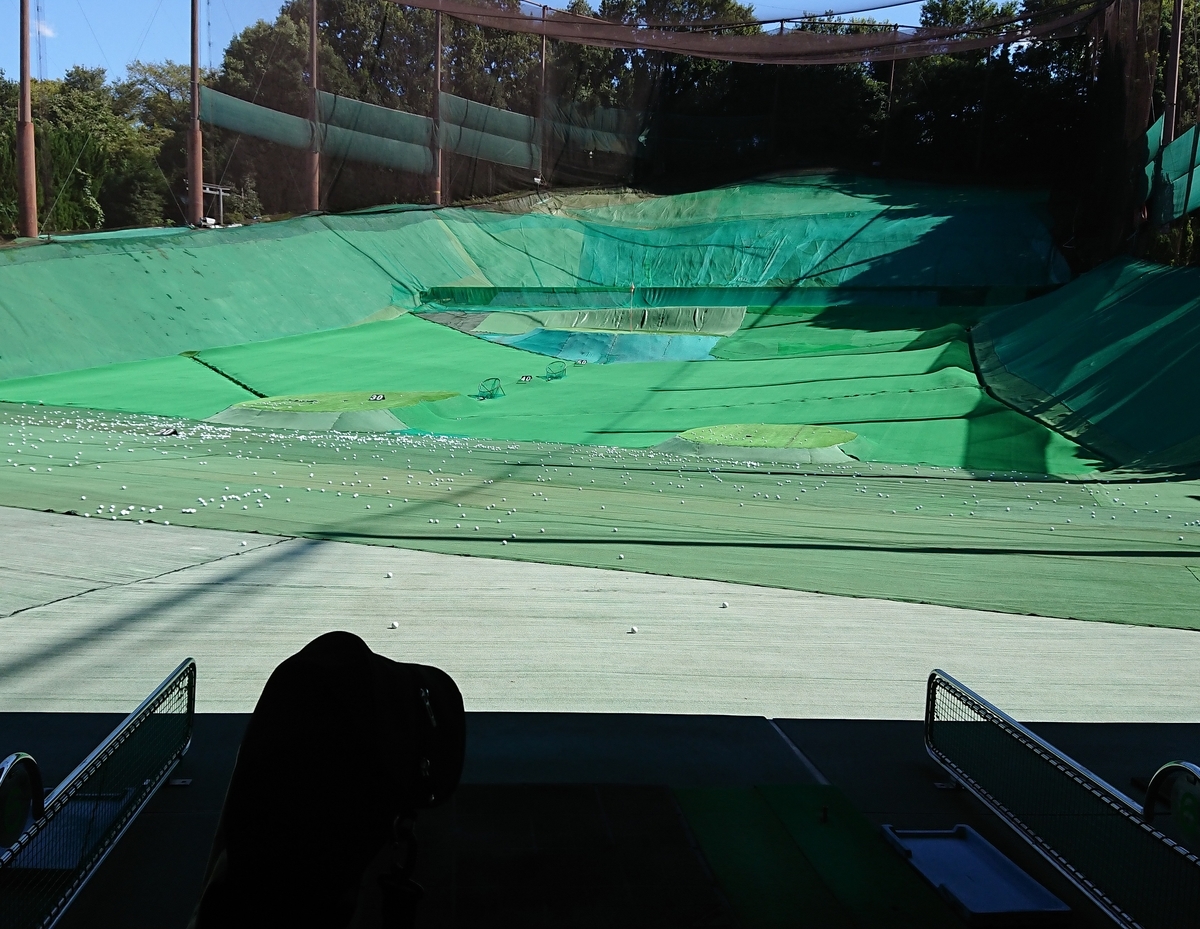 f:id:hibitanoshime:20201026153347j:plain