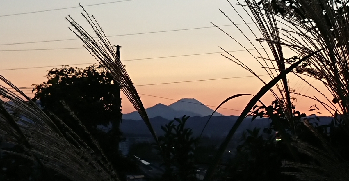 f:id:hibitanoshime:20201031201533j:plain