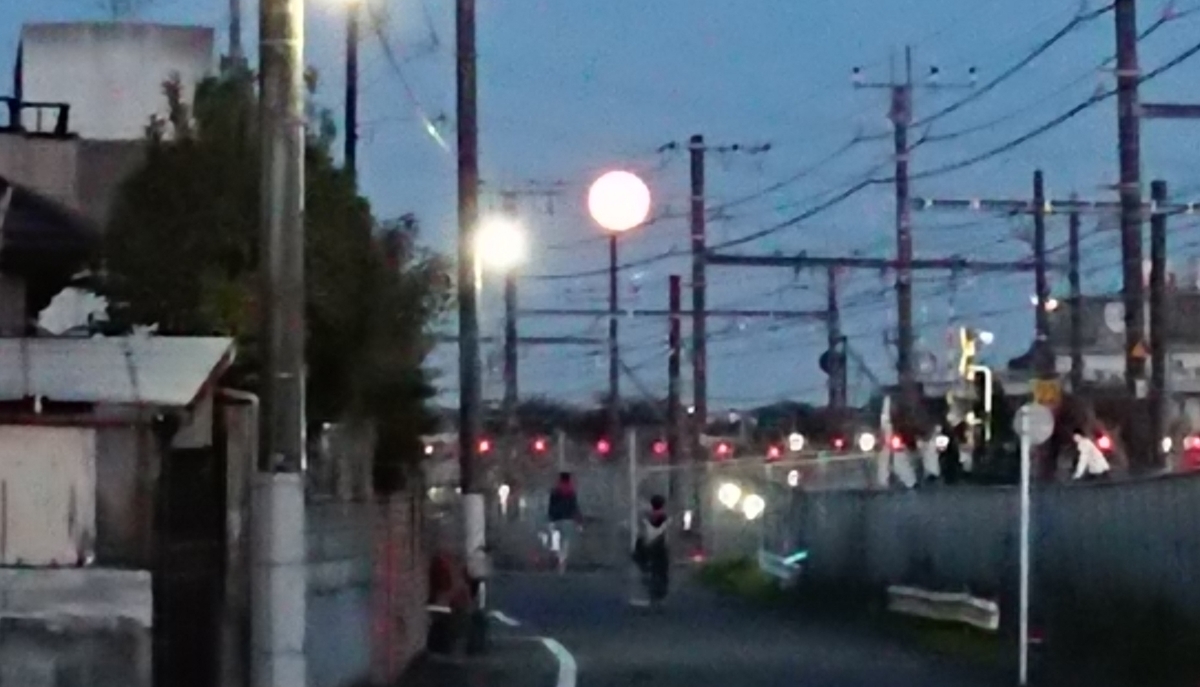 f:id:hibitanoshime:20201031202134j:plain