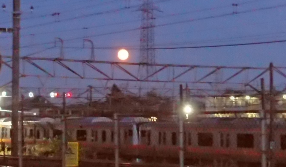 f:id:hibitanoshime:20201031202319j:plain