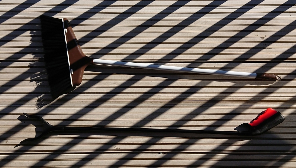 f:id:hibitanoshime:20201205113152j:plain