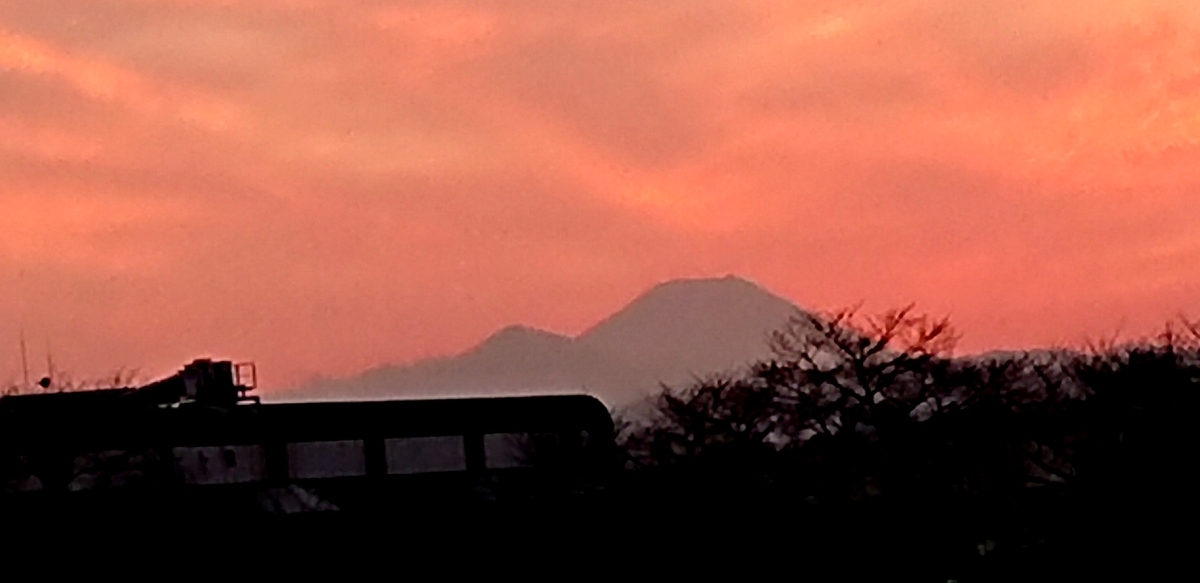 f:id:hibitanoshime:20201210203315j:plain