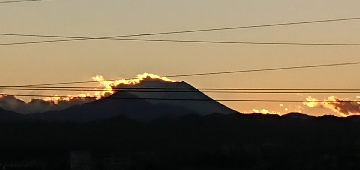 f:id:hibitanoshime:20201217173942j:plain