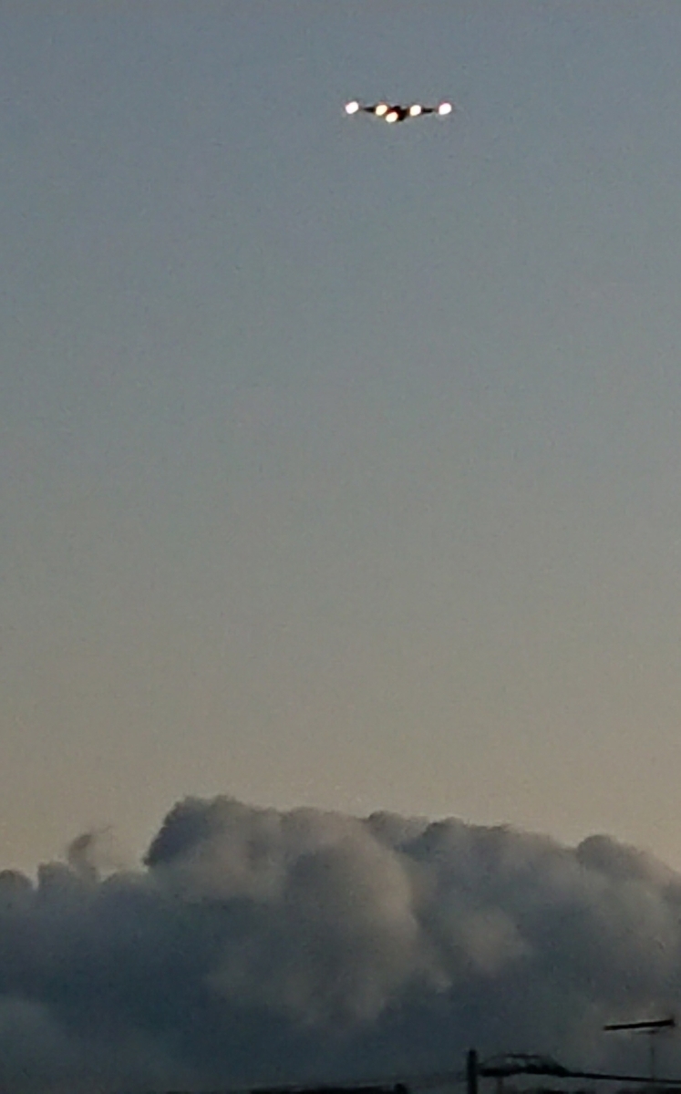 f:id:hibitanoshime:20201217212148j:plain