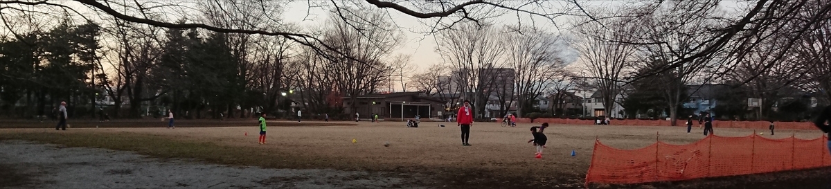 f:id:hibitanoshime:20201230174731j:plain