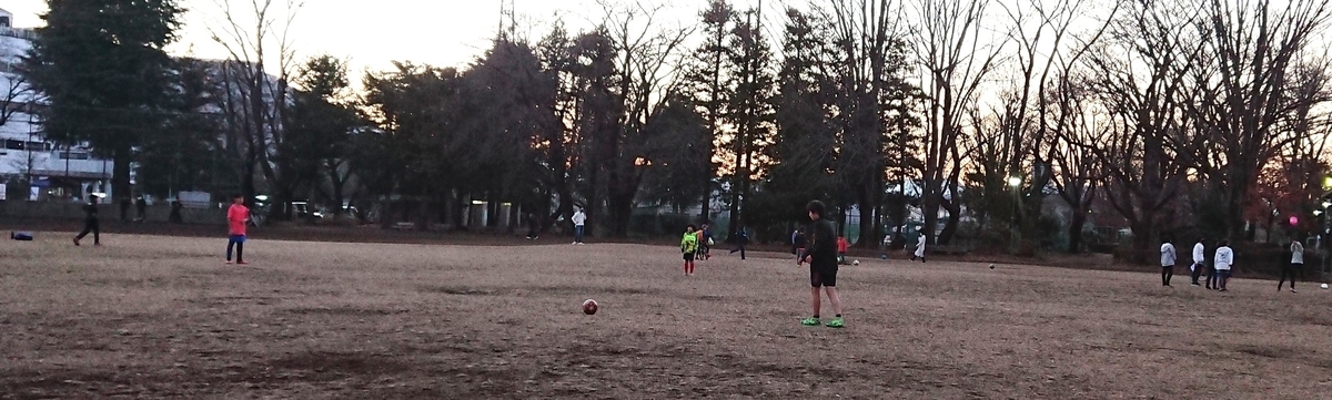 f:id:hibitanoshime:20201230174932j:plain