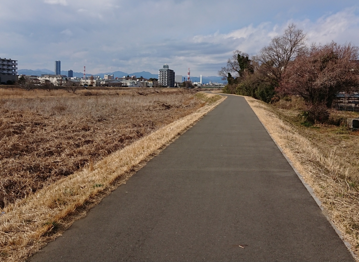 f:id:hibitanoshime:20210208181759j:plain