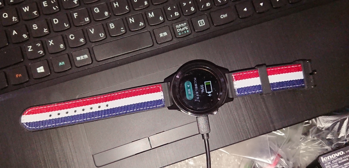 f:id:hibitanoshime:20210527151845j:plain